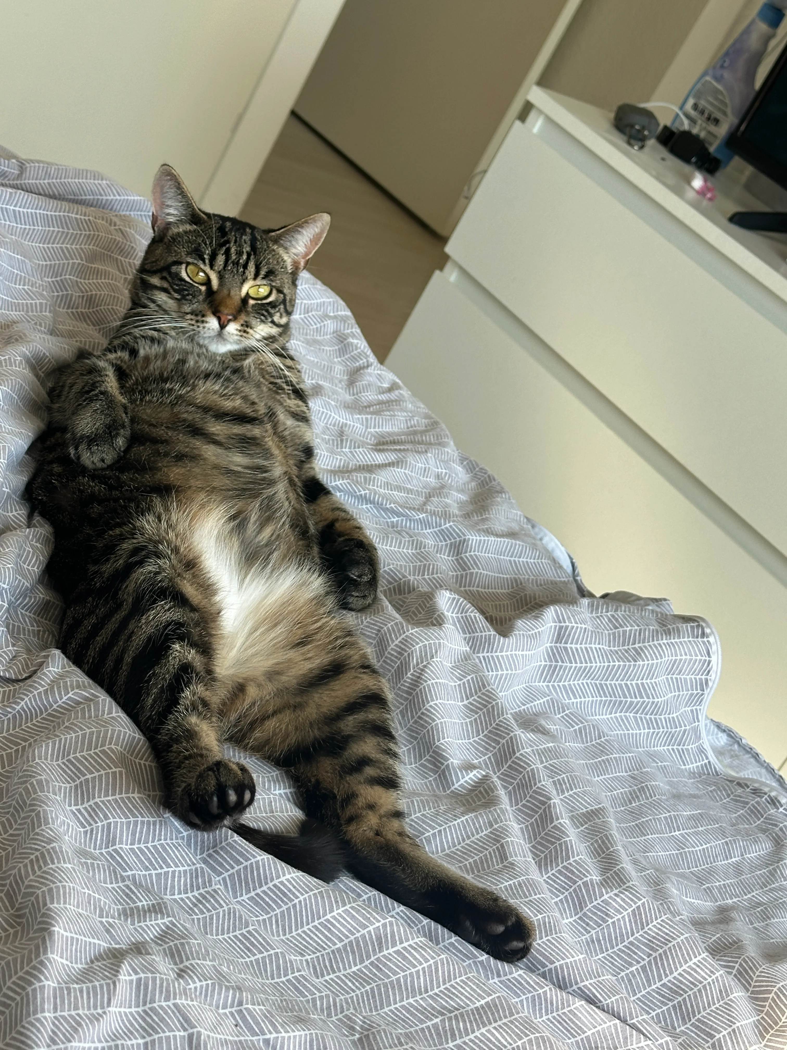 Luna