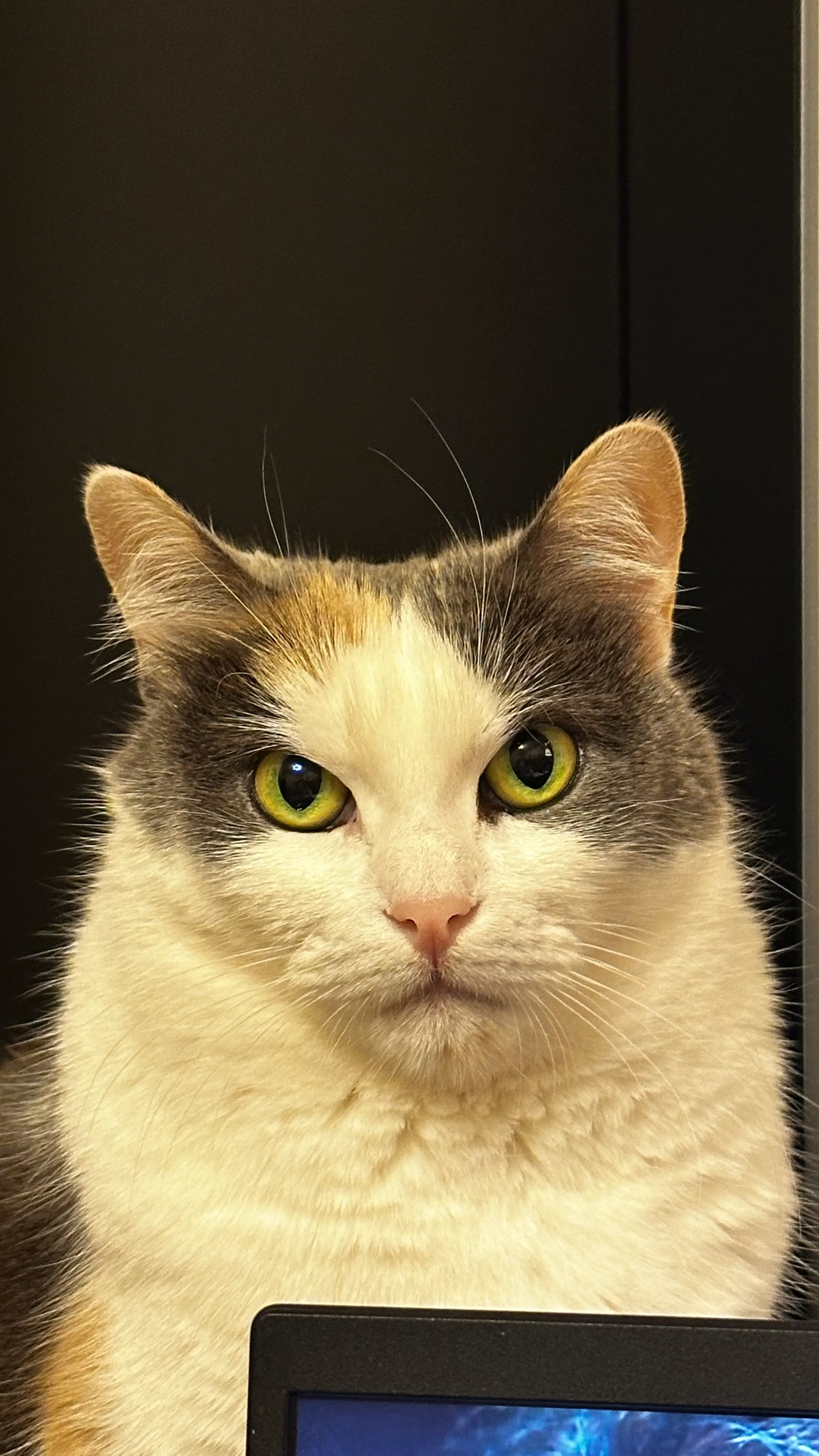 Uma