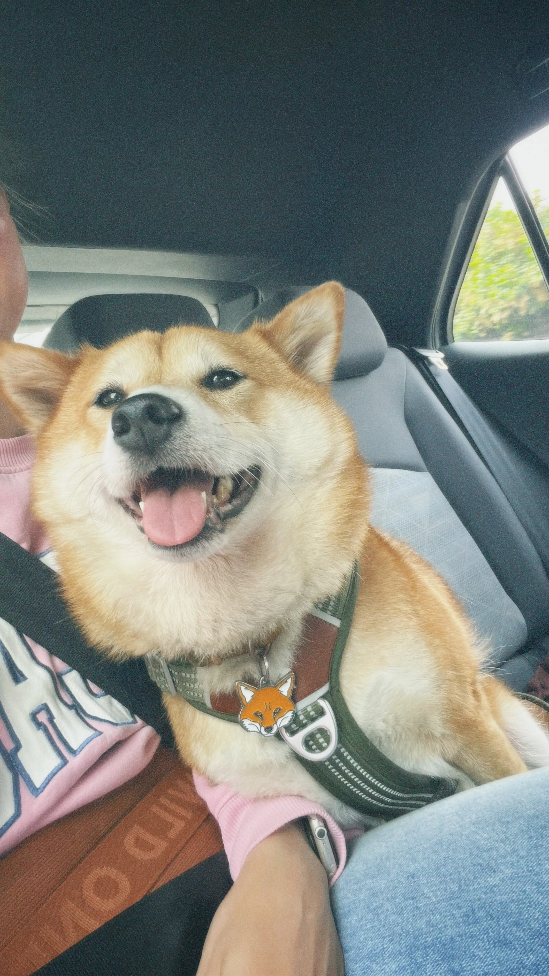 Yuki