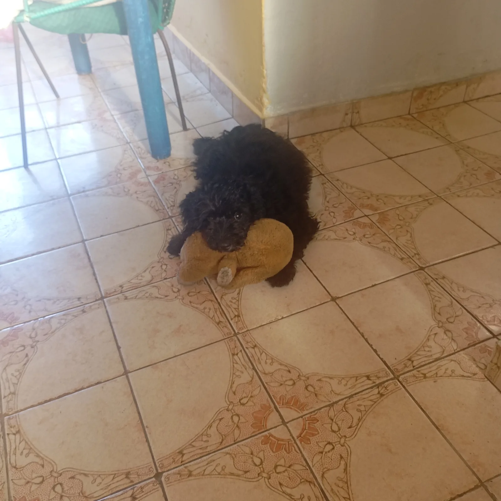 Choco Jesús 